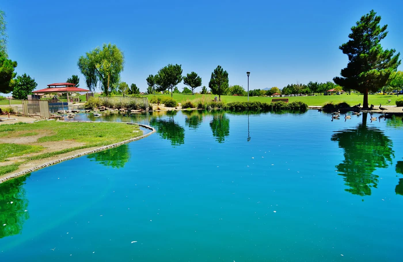 Water and trees at Aliante Nature Discovery Park in North Las Vegas